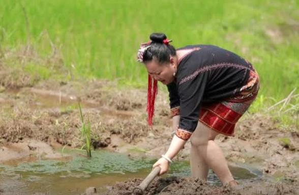 非物质文化遗产——黎锦