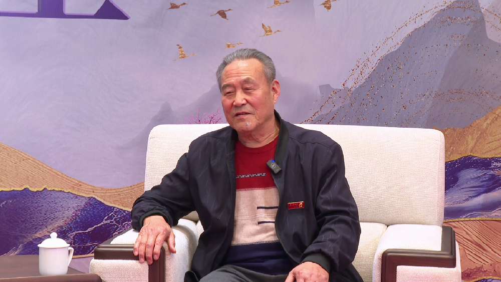 著名书法艺术家杨新平--受邀出席非遗技艺传承发展论坛